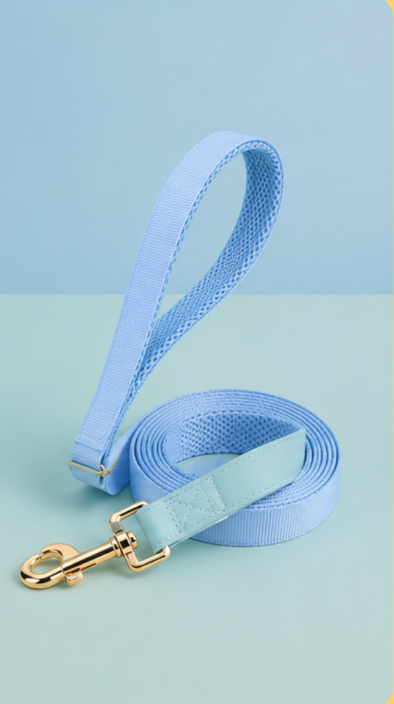Dog Harness Leash Set