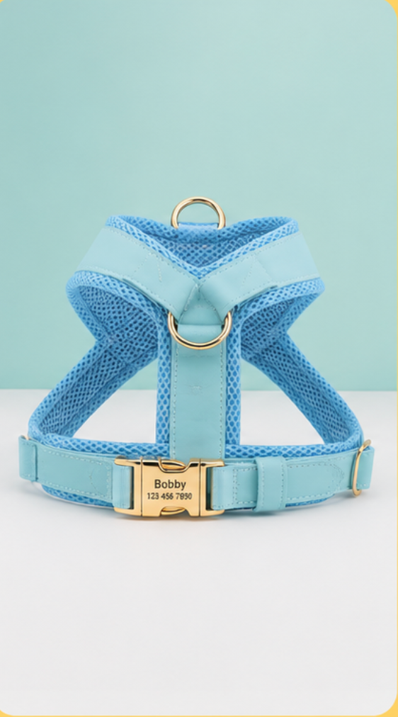 Dog Harness Leash Set