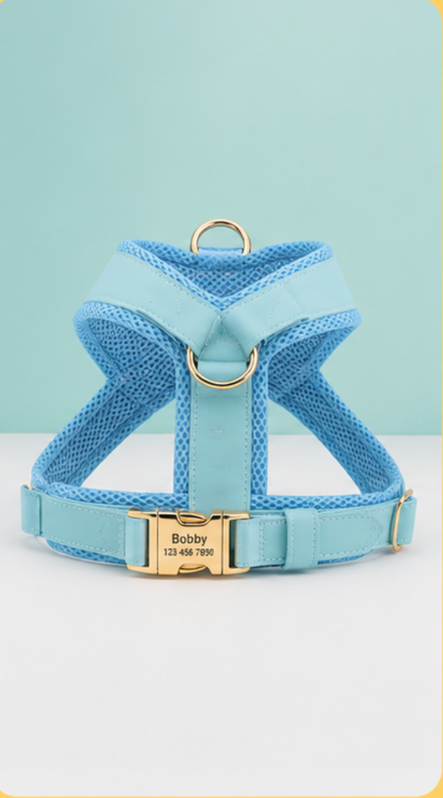 Dog Harness Leash Set