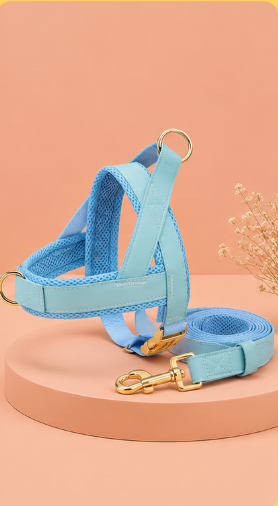 Dog Harness Leash Set
