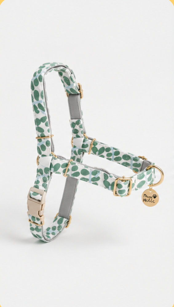Dog Harness Set