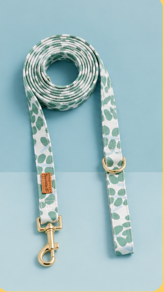 Dog Harness Set