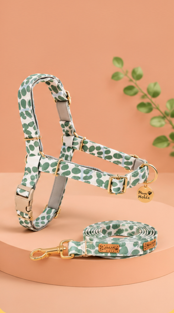 Dog Harness Set